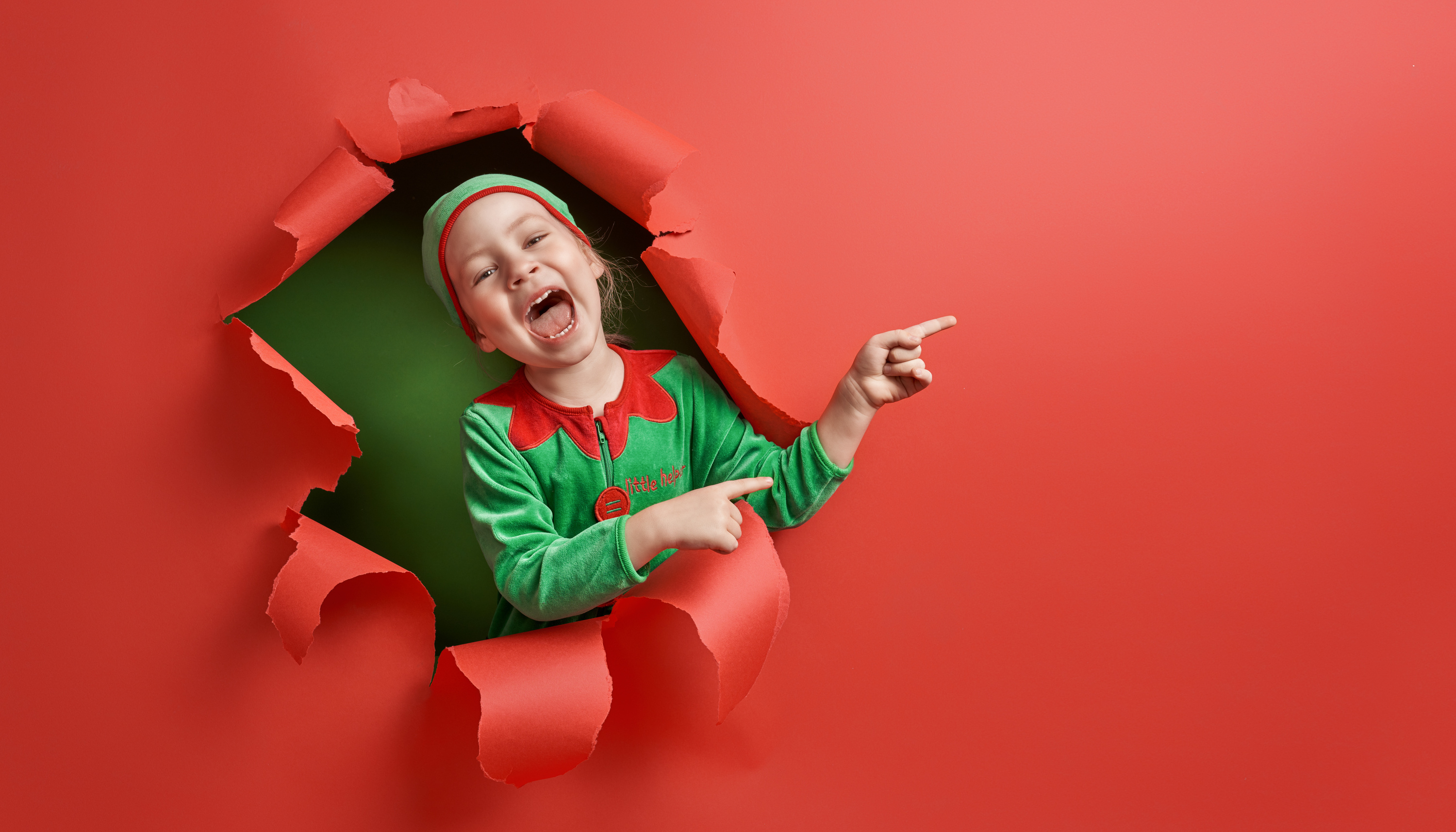 Santa's elf on bright color background